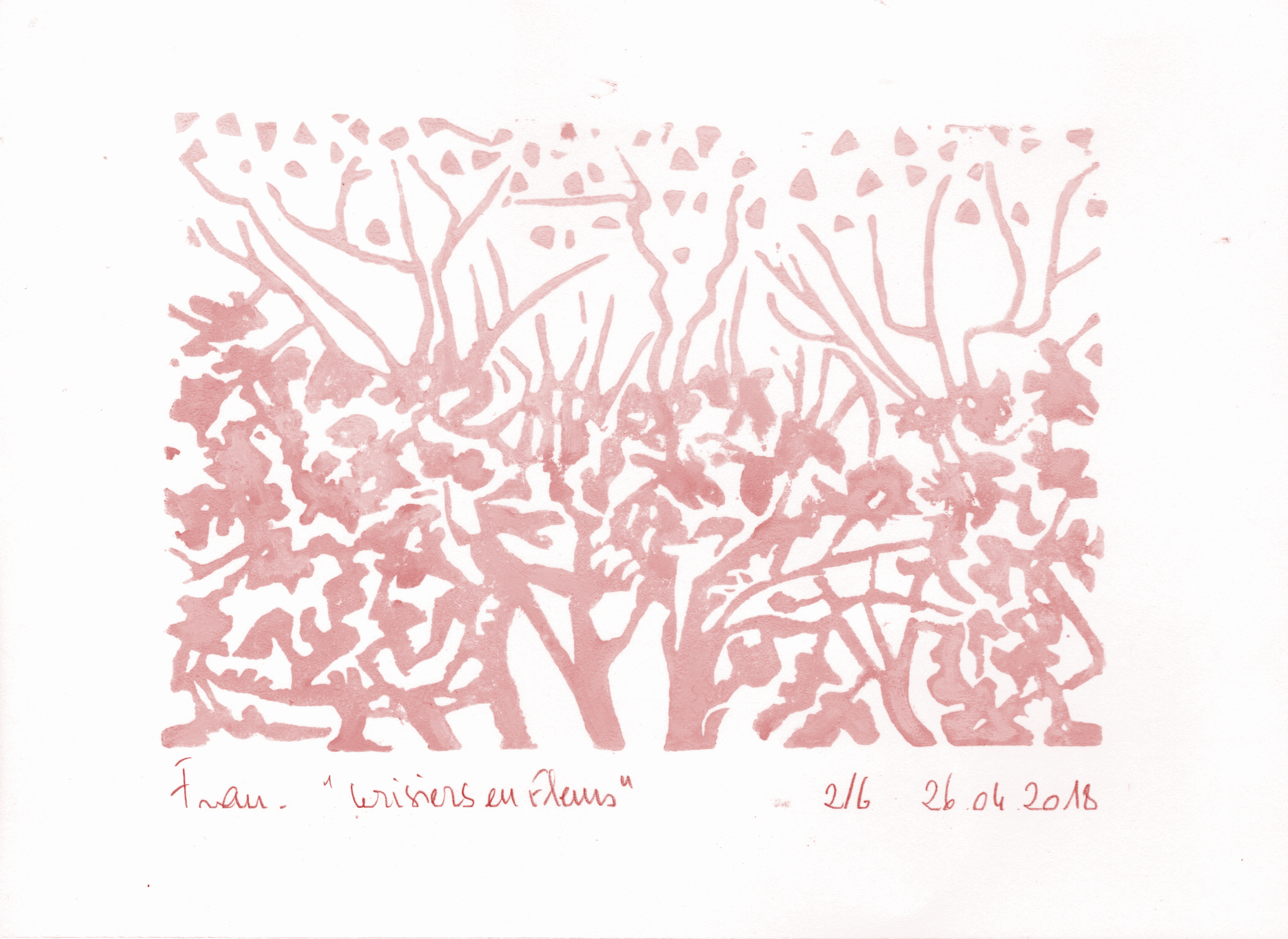 Cerisiers en fleurs roses 2:6