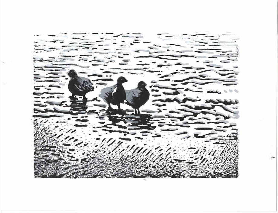 LINO Trois Bernaches