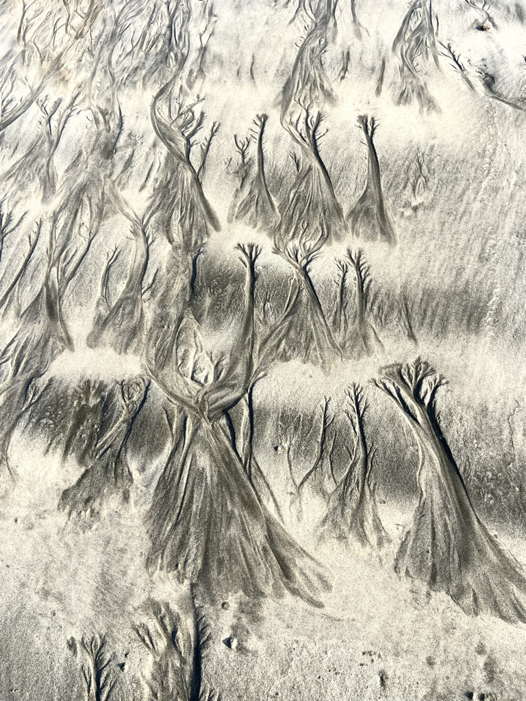 Traces 2 sur le sable île de Waiheke